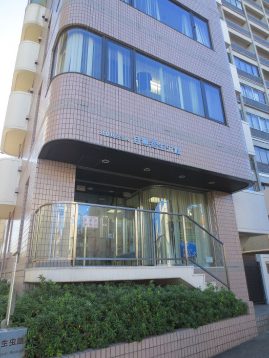 その他　目黒寄生虫館（その他）まで300m