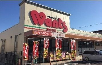ドラックストア　ウォンツ波出石店（ドラッグストア）まで650m