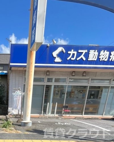 病院　カズ動物病院（病院）まで364m