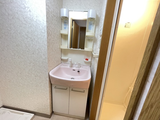 洗面設備　※別号室のお写真です