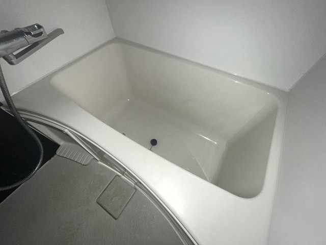 バス・シャワールーム　落ち着いた空間のお風呂です