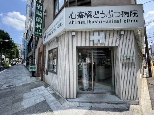 病院　心斎橋動物病院（病院）まで330m
