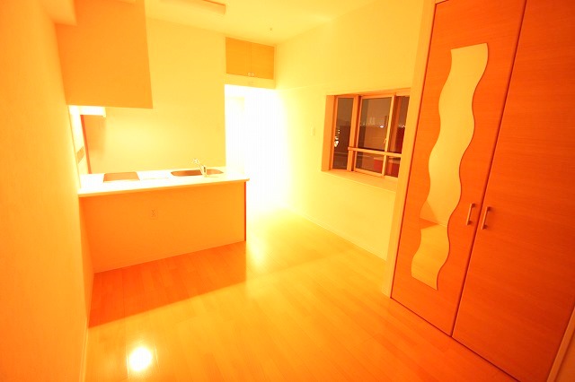 収納　鏡付のクローゼット＊号室・階数によって色味違います