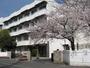 小学校　沼津市立開北小学校（小学校）まで704m