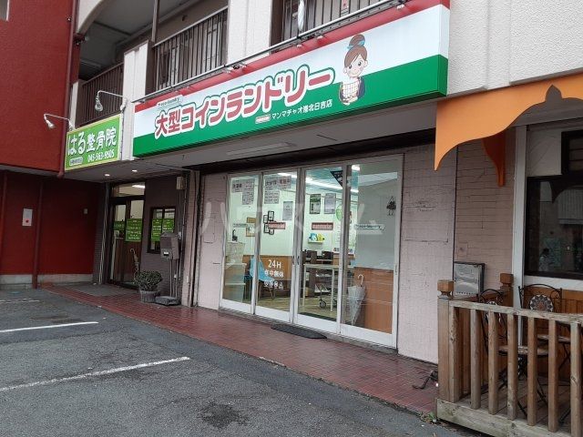 その他　マンマチャオ港北日吉店（その他）まで569m