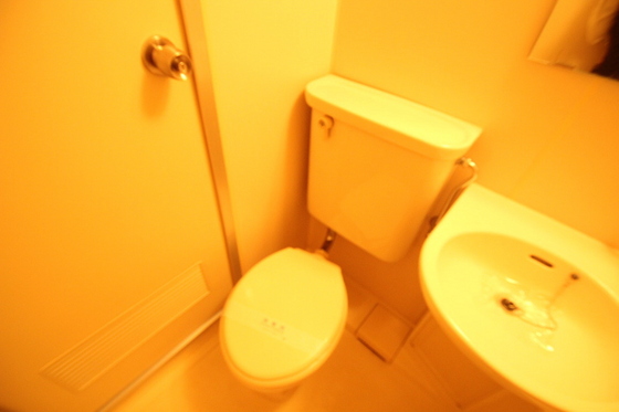 トイレ　※別号室の写真です