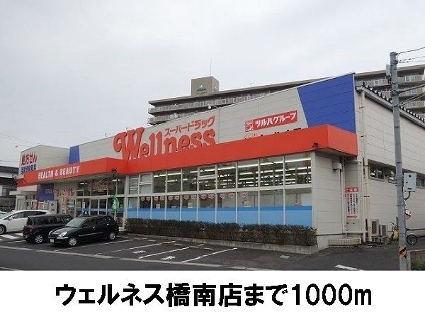 ドラックストア　ウエルネス橋南店（ドラッグストア）まで1000m