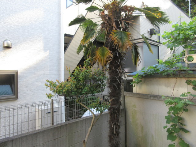 眺望　★眺望★