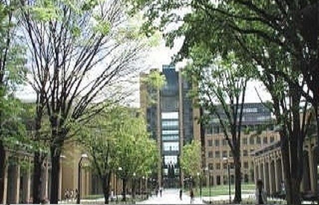 大学・短大　青山学院大学（大学・短大）まで900m