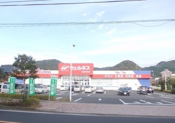 ドラックストア　ウェルネス 大田中央店（ドラッグストア）まで260m