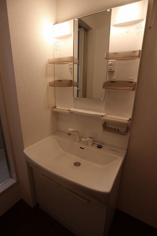 洗面設備　写真は別号室です。
