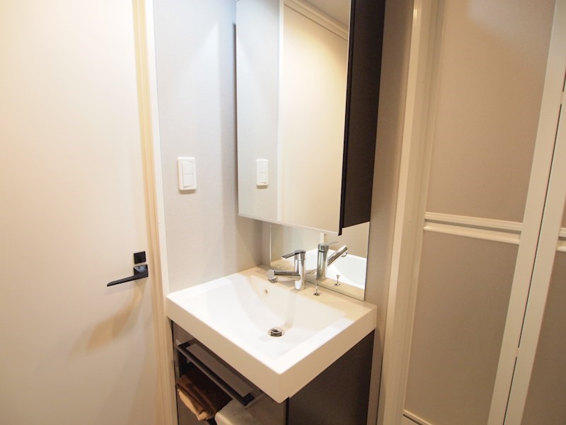洗面設備　※同シリーズ類似物件写真