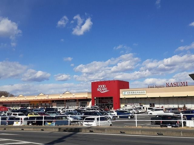 ショッピングセンター　ピアシティ石岡（ショッピングセンター）まで2600m