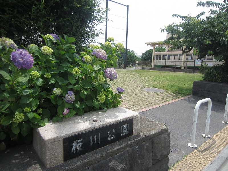公園　桜川公園（公園）まで1582m