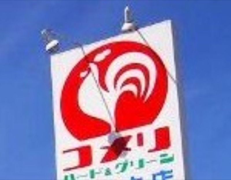 ホームセンター　コメリハード＆グリーン総和店（ホームセンター）まで858m