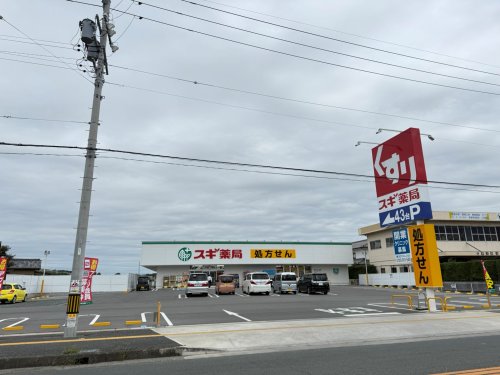 ドラックストア　スギドラッグ田原北店（ドラッグストア）まで858m