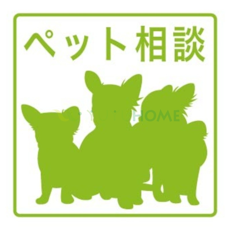 その他　※間取り・設備等に相違がある場合は、現状優先※