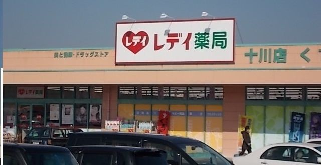 ドラックストア　レディ薬局十川店さん（ドラッグストア）まで700m