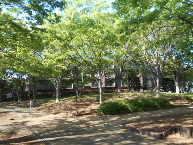 公園　根岸森林公園（公園）まで400m