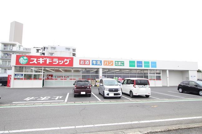 ドラックストア　スギドラッグ 中居店（ドラッグストア）まで800m