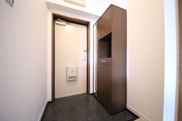 玄関　※写真は同じマンションの違う部屋のものになります。