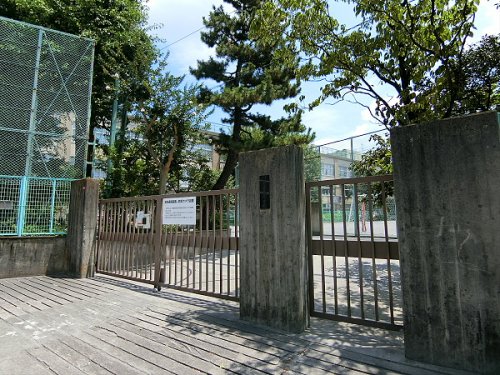 小学校　杉並区立富士見丘小学校（小学校）まで243m