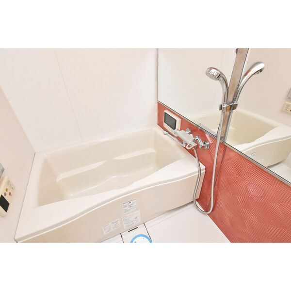 バス・シャワールーム　イメージとして同建物他部屋を表示しています