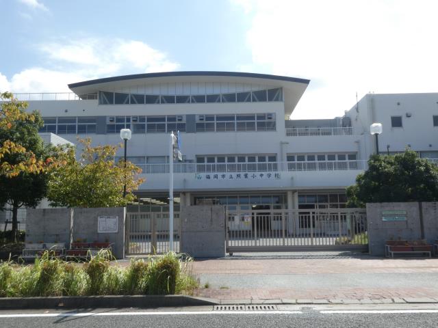 中学校　福岡市立中学校照葉中学校（中学校）まで577m