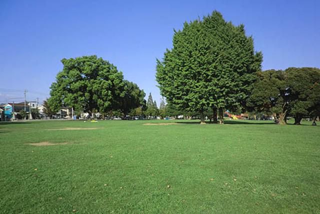 公園　大師公園（公園）まで766m