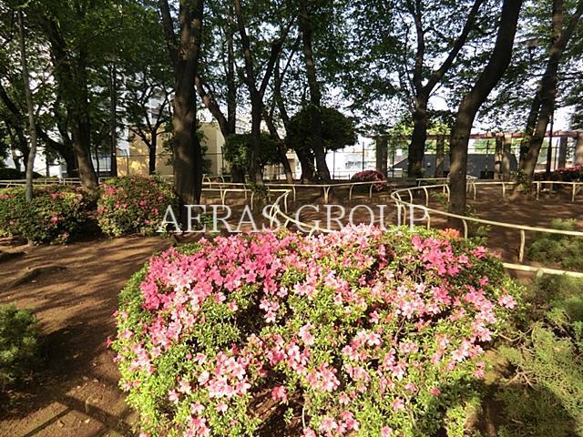 公園　権現山公園（公園）まで405m