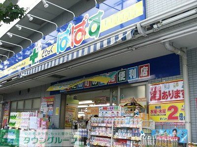 ドラックストア　どらっぐぱぱす若林店（ドラッグストア）まで1230m