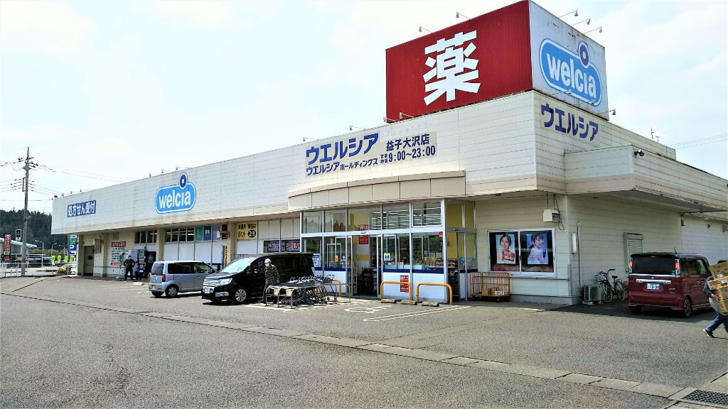ドラックストア　ウエルシア益子大沢店（ドラッグストア）まで764m