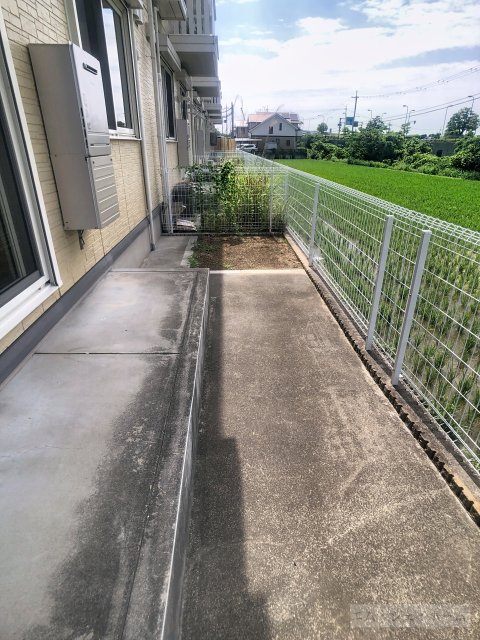庭
