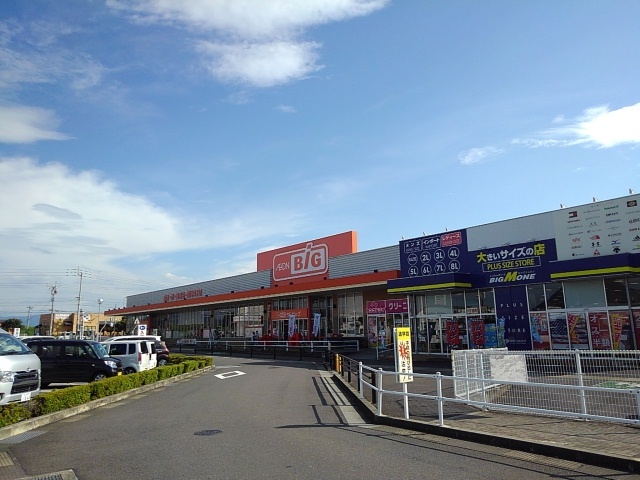 スーパー　ザ・ビッグ丸亀城南店（スーパー）まで1100m