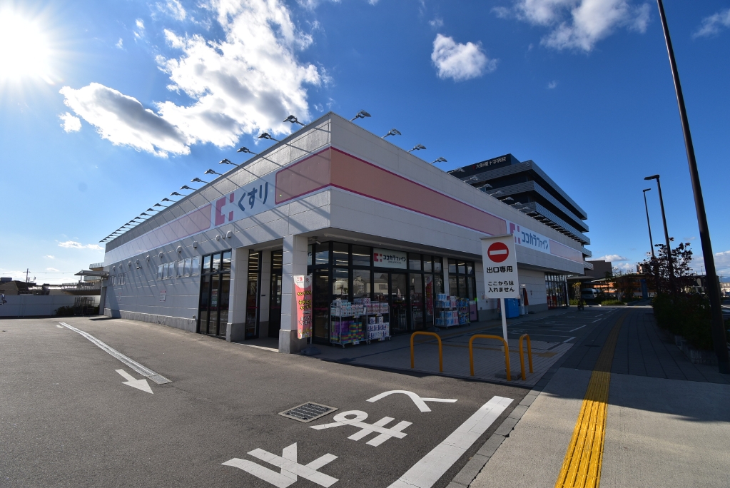 ドラックストア　ココカラファイン 寝屋川公園店（ドラッグストア）まで1002m