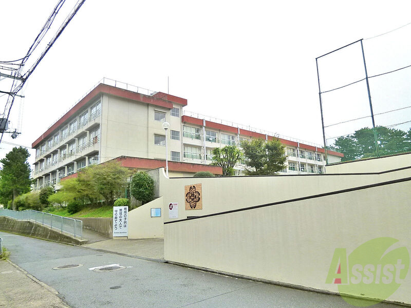 小学校　緑地小学校（小学校）まで714m