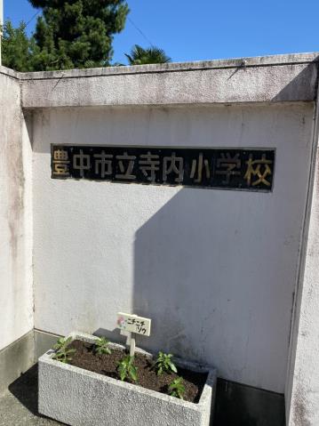 小学校　寺内小学校（小学校）まで759m
