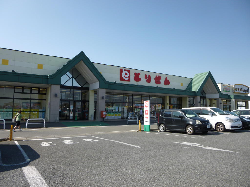 スーパー　とりせん下田島店（スーパー）まで1492m