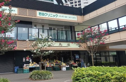 病院　若田クリニックシティタワー品川（病院）まで24m