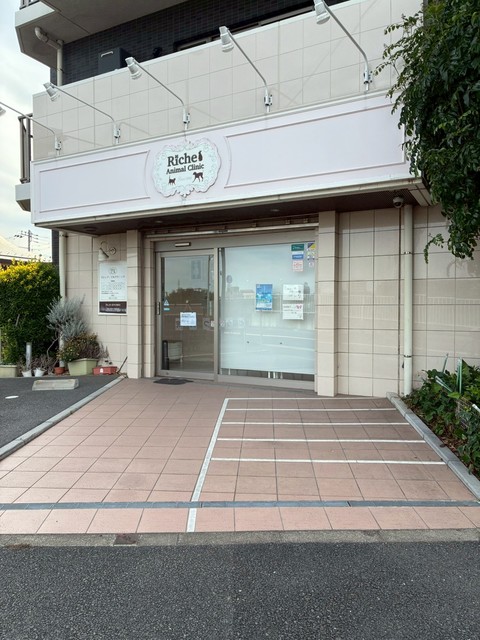 病院　Riche アニマルクリニック（病院）まで10m