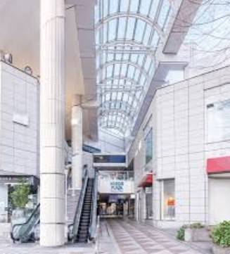 ショッピングセンター　広尾プラザ（ショッピングセンター）まで733m