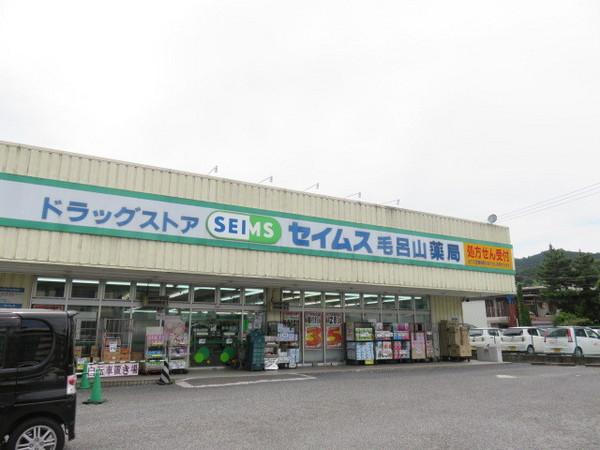 ドラックストア　セイムス（ドラッグストア）まで250m