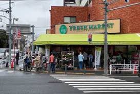 スーパー　トップフレッシュマーケット 岸根店（スーパー）まで494m