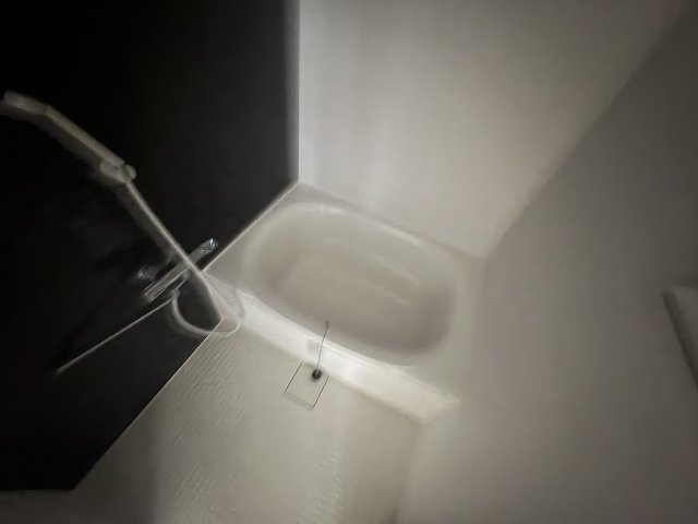 バス・シャワールーム　お風呂です