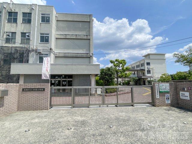 小学校　高槻市立如是小学校（小学校）まで482m