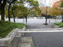 公園　新宿中央公園（公園）まで84m