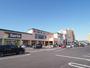 スーパー　ハローズ佐古店（スーパー）まで1764m