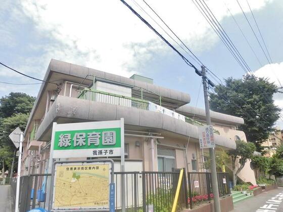 幼稚園・保育園　緑保育園（幼稚園・保育園）まで1163m