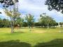 公園　笹川公園（公園）まで300m