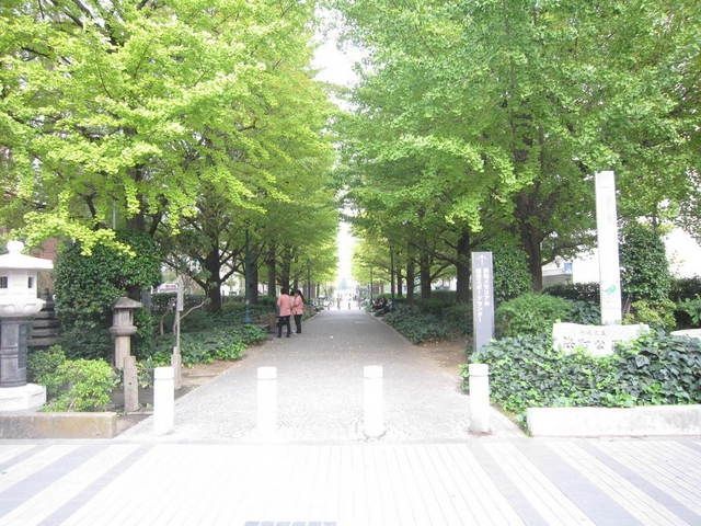 公園　浜町公園（公園）まで1000m
